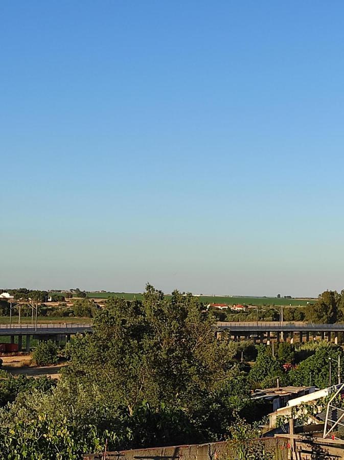 Mansao Alentejana Al Villa Alvalade Bagian luar foto